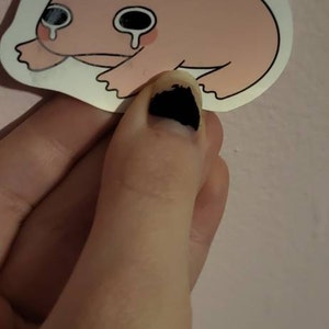 Nico ha añadido una foto de su compra