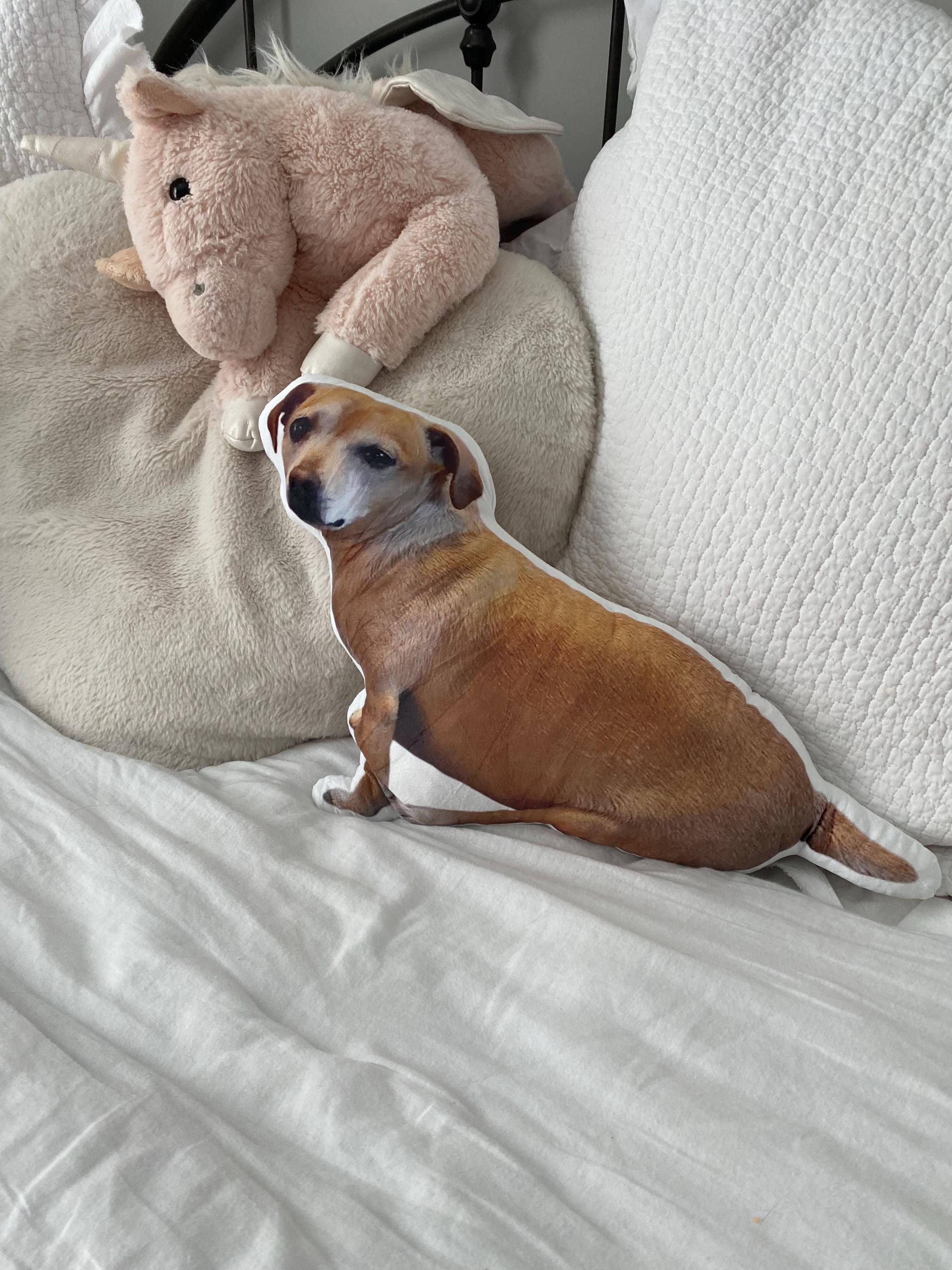 Custom Pet Pillow | Personalized Pillow | Pet Memorial Gift | Custom shaped pillow | Dog Pillow | Cat Pillow | Pet Lover Gift