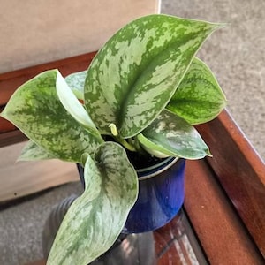 Terri added a photo of their purchase