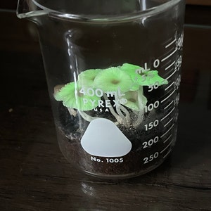 makimaki2010 added a photo of their purchase