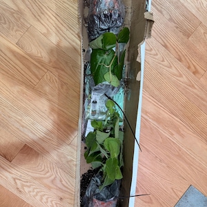 Etsy buyer added a photo of their purchase