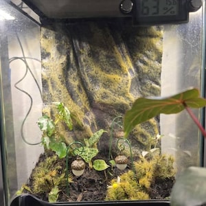 Grey added a photo of their purchase