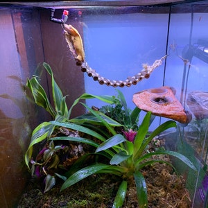 Kristen a ajouté une photo de son achat