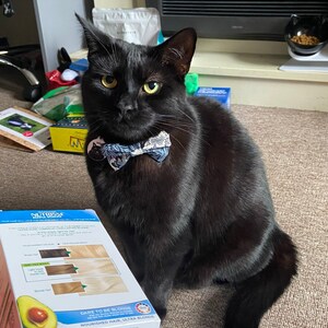 Nicola さんが購入した商品の写真を追加しました