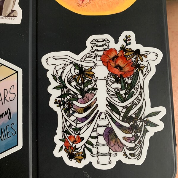 Ribs | Sticker - Etsy