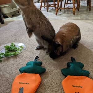 Sharon added a photo of their purchase
