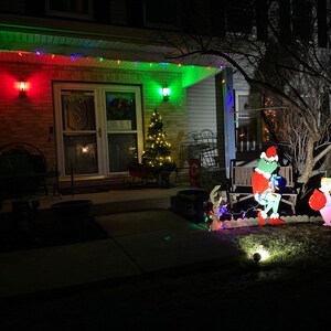 4ft Grinch Max Tangled in Lights and Cindy Lou Who - Etsy