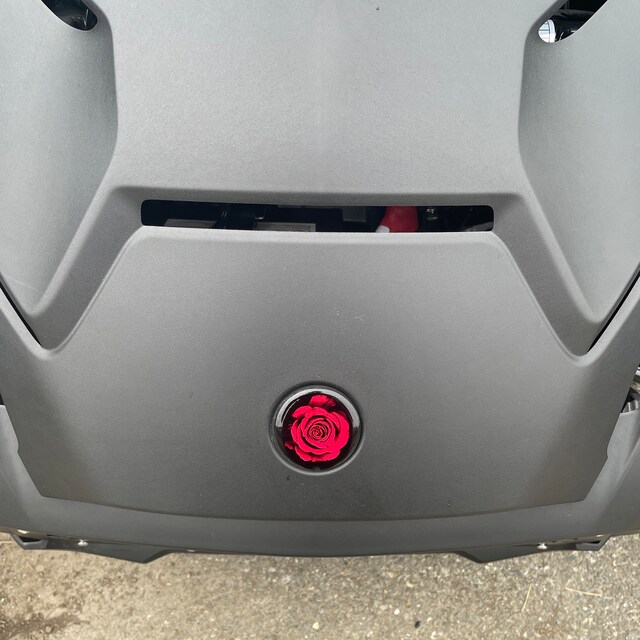 Black PETG with a red rose image