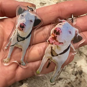 Molly added a photo of their purchase