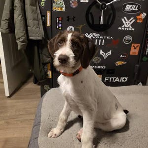 Lacey ha añadido una foto de su compra