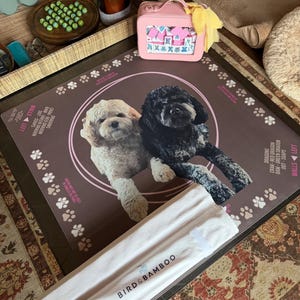 Stephanie added a photo of their purchase