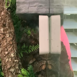 vd added a photo of their purchase