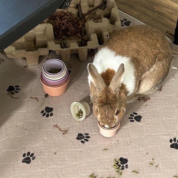 Bunny Stacking Cups: Wheat Straw Rabbit Toy, Pet Enrichment - Etsy