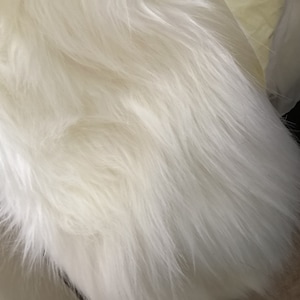 Harlow added a photo of their purchase