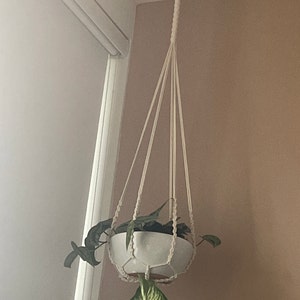 Petra added a photo of their purchase