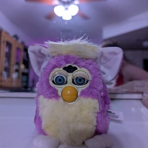 Rebecca added a photo of their purchase