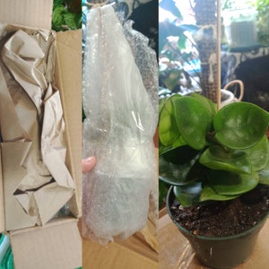 LaVerna added a photo of their purchase
