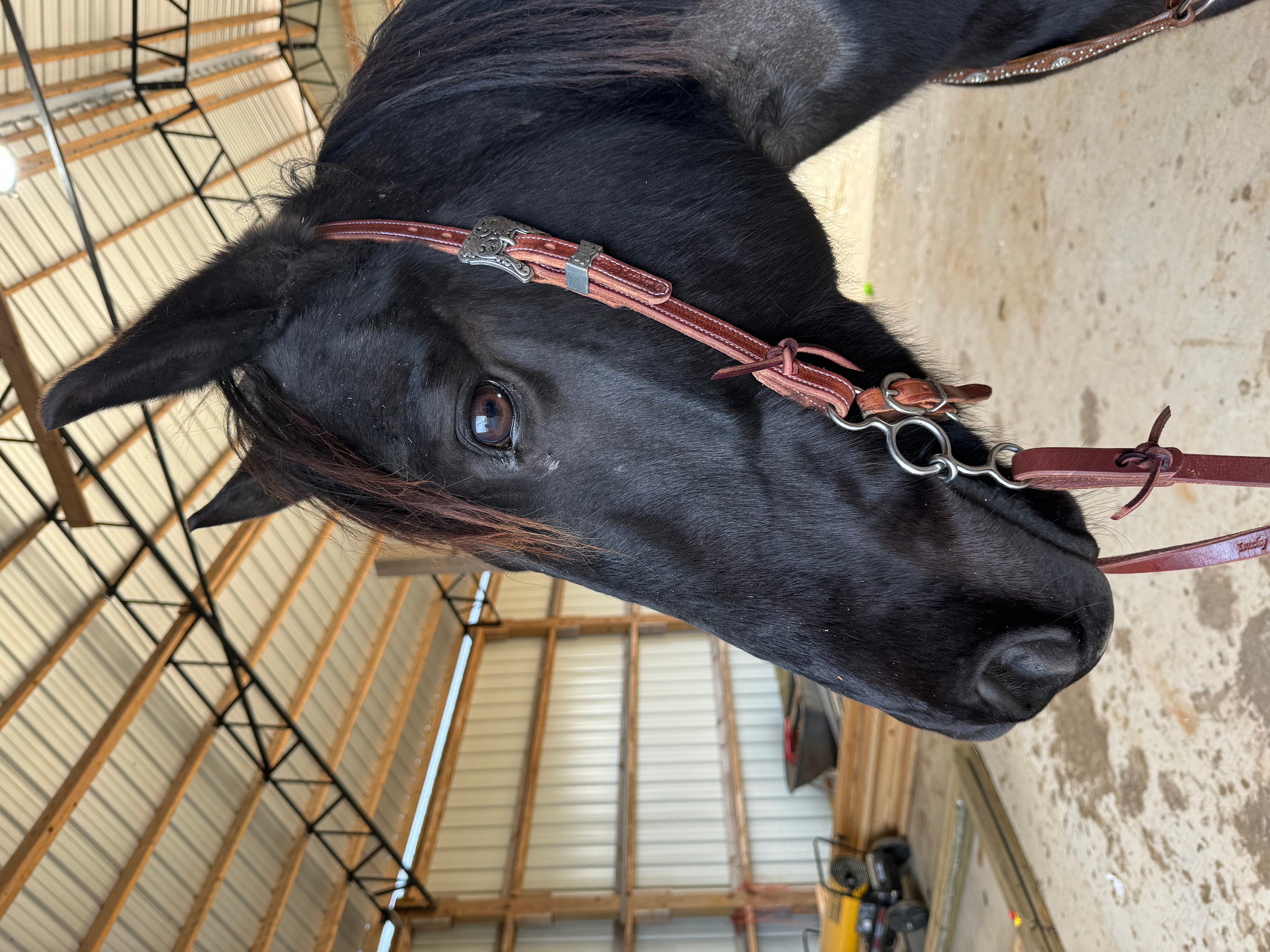 Butter Soft Headstall, Herman Oak Leather, Working Headstall, Western Headstall, USA Made, Handmade in Idaho