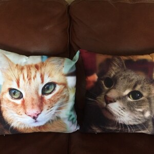 Madison added a photo of their purchase