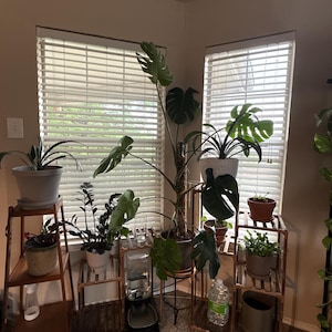 Brendon added a photo of their purchase