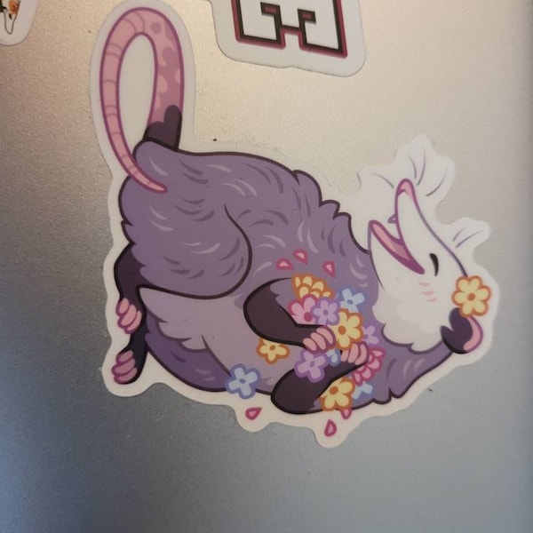 Opossum Vinyl Stickers (pack of 3) - Cute Waterproof Possum Sticker ...