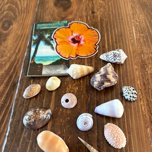 lisa added a photo of their purchase