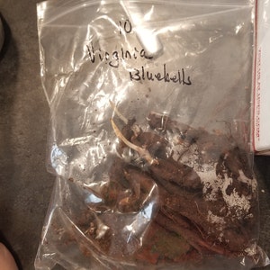 Pamela added a photo of their purchase