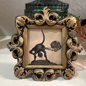 zoey added a photo of their purchase