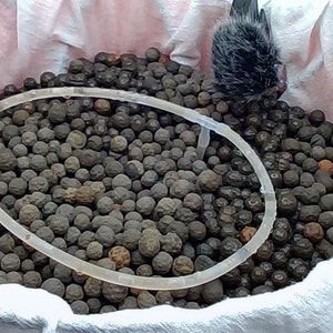 Paul added a photo of their purchase