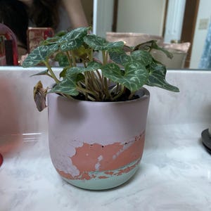 Jessa added a photo of their purchase