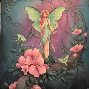 Abby added a photo of their purchase