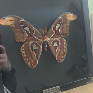 eliza added a photo of their purchase
