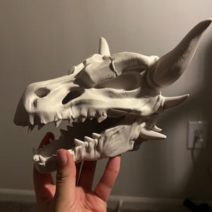 Kiwi added a photo of their purchase