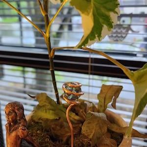 Brenda added a photo of their purchase