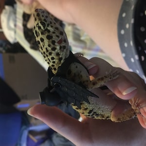 Hannah added a photo of their purchase