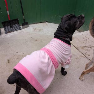 プリンセス犬猫ペットコスチューム：ピンクのドレスアップコスプレ