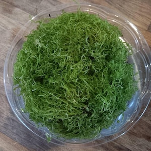 Eva lade till en bild av sitt köp
