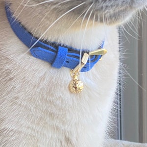H added a photo of their purchase