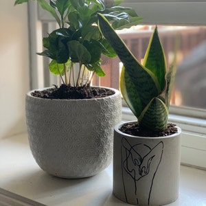 Carleigh heeft een foto van zijn/haar aankoop toegevoegd