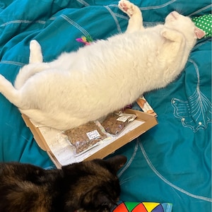 Etsy buyer added a photo of their purchase