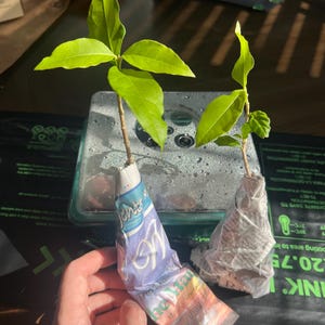 August added a photo of their purchase