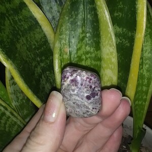 Aimee added a photo of their purchase