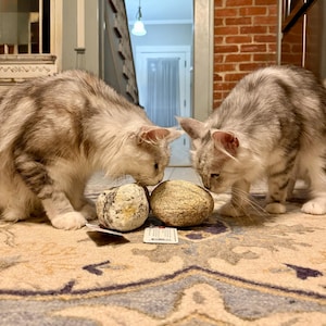 Alina added a photo of their purchase