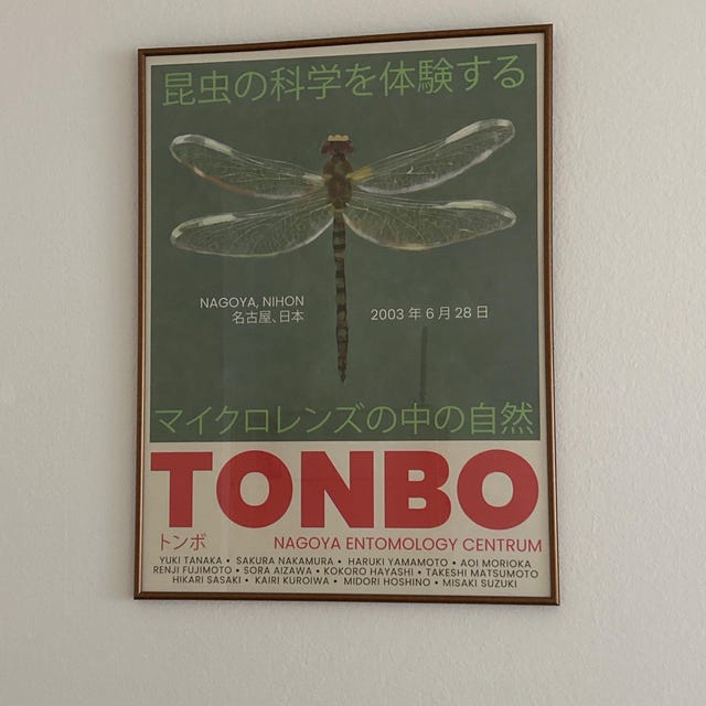 Dragonfly Delight – Tonbo 2003 Nagoya Exhibition Poster | Japanese