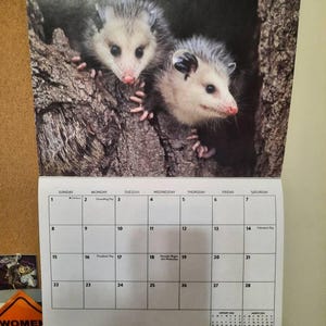 Sharon added a photo of their purchase