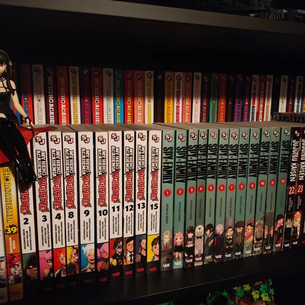 Shelf Riser for Displaying Two Rows of Books on a Single Shelf ...