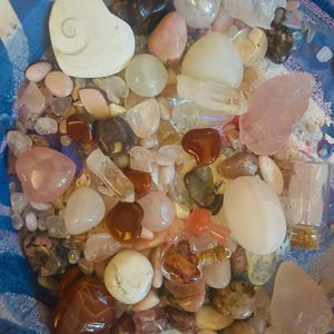 Katie added a photo of their purchase