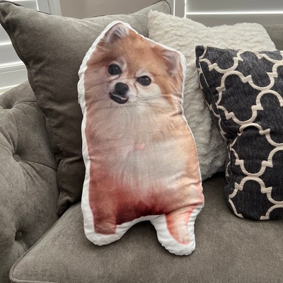 Custom Pet Print Pillow, 3D Custom Dog Pillow, Cat Photo Pillow ...