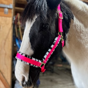 Naomi added a photo of their purchase