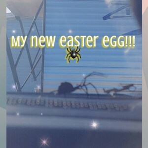 Nichole added a photo of their purchase